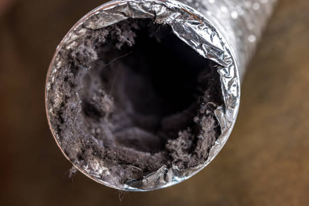 Best Affordable Air Duct Cleaning  in Windsor, MO