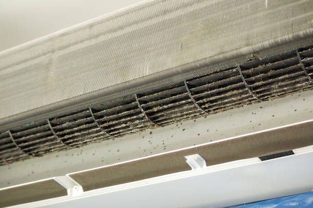 Best Ventilation Cleaning Services  in Windsor, MO